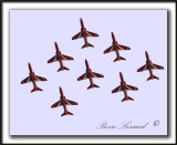 _MG_5435b   -  HAWK AIRCRAFT  /  RED ARROWS  AEROBATIC TEAM  -  ROYAL AIR FORCE  UK.