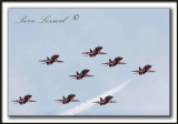 _MG_5486a   -  HAWK AIRCRAFT  /  RED ARROWS  AEROBATIC TEAM  -  ROYAL AIR FORCE  UK.