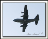 _MG_5275a  -  HERCULE C-130  /  CANADIAN AIR FORCE