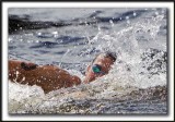 _MG_0329aa   -  FRAN CRIPPEN  LE GAGNANT  /  THE WINNER