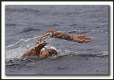  NOELIA PETTI,  Troisime 2010  /  Third 2010,  2h25m09s   _MG_2232 a