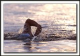 YANN MARCOTTE,  1 km,  29m15,51s    _MG_1214 a