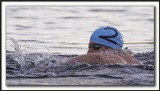 SIMON TOBIN, Can. 14m14,75s, Deuxime 1km Sprint  /  Second 1K Sprint     _MG_0843 a