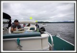IMG_2385 copy.jpg