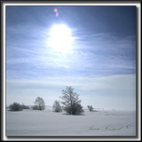 _MG_4693a .jpg  -  CEST LHIVER  /  THIS IS WINTER..