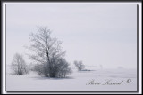 _MG_4696.jpg -  UNE BELLE JOURNE DHIVER  / A BEAUTIFUL WINTER DAY