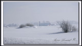 _MG_4713a .jpg -  UNE BELLE JOURNE FROIDE  DHIVER  / A BEAUTIFUL COLD WINTER DAY