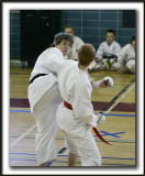 _MG_0036 a