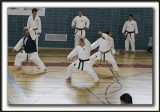 _MG_0306 copie pbase 600 a 6.jpg