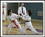 _MG_0704a