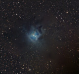 Iris Nebula (NGC 7023)