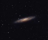 The Sculptor Galaxy (NGC 253)