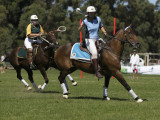 Polocross Australia 4.jpg