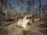 Old Fords dumped in the bush 7.jpg
