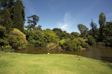 Melbournes Royal Botanic gardens 6.jpg