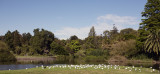 Melbourne Royal botanic gardens 22.jpg