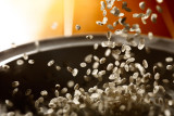 20081023 - TITTC: Grain