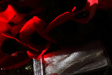 20081111 - Armistice