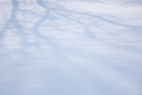 20090202 - Snow 06
