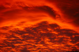 20090221 -Wild Sunset