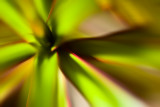 20080213 - Not Slain