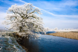 20080220 - Rime