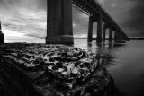 20080313 - Old Tay Rail Bridge Stump