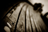 Boardwalk