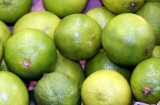 Limonen / limes