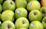 Äpfel / apples