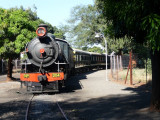 The Royal Livingstone Express