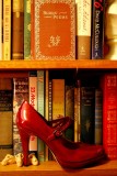 Red Shoe On Bookshelf