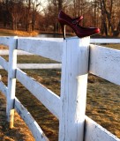 Red Shoe On Fence