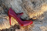 Red Shoe In Hay