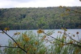 Opposite Shore From The Trail