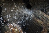 Grass Spiders Funnel Web