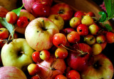 Hedgerow Bounty