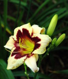 Clark Botanic Garden