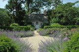 Planting Fields  Arboretum