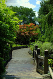 Japanese  Garden