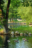 Hecksher  Park