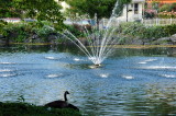Hecksher Park