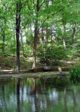 Clark Botanical Garden