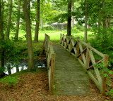 Bailey Arboretum