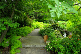 NY Botanical Garden