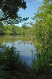 Bayard Cutting Arboretum