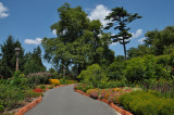 Bayard Cutting Arboretum