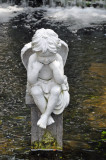Swan Club