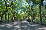 The Mall