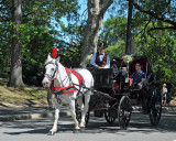 Central Park